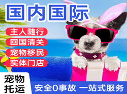 齐齐哈尔航空快运国际宠物托运 【国